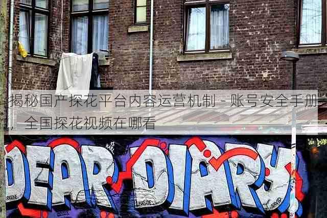 揭秘国产探花平台内容运营机制 - 账号安全手册,全国探花视频在哪看