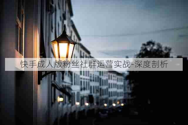 快手成人版粉丝社群运营实战-深度剖析