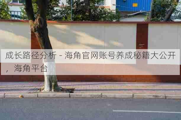 成长路径分析 - 海角官网账号养成秘籍大公开，海角平台