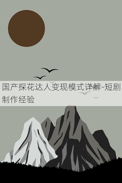 国产探花达人变现模式详解-短剧制作经验