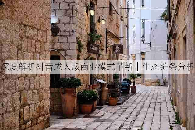 深度解析抖音成人版商业模式革新｜生态链条分析