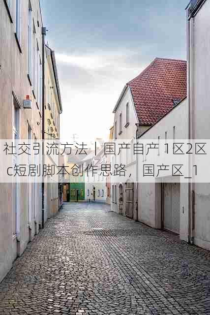 社交引流方法|国产自产 1区2区 c短剧脚本创作思路,国产区_1