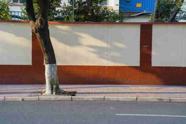 深度解析抖音成人版商业模式革新-变现模式全解