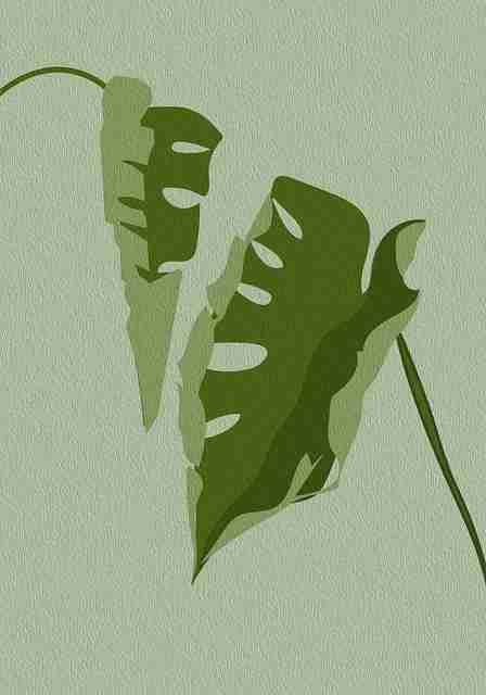 aaa永久在线观看必看影单推荐|观看体验提升,aaa!