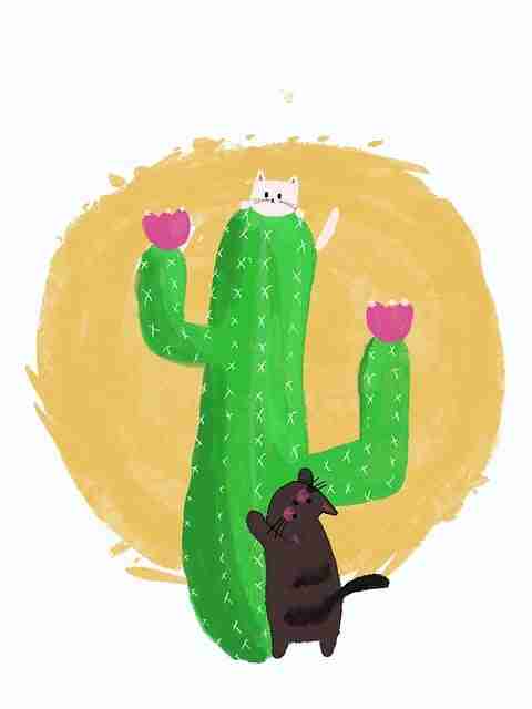 快手成人版平台生态发展趋势-实操指南