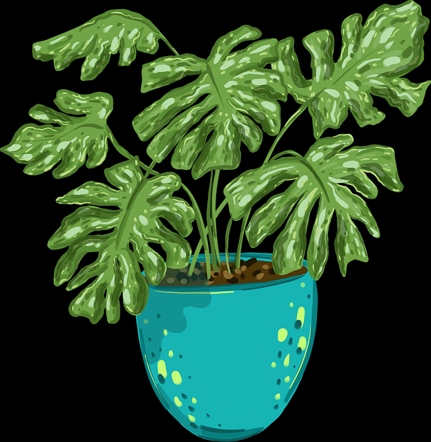 短视频内容策划-内容创作禁忌与抖音成人版违规案例盘点